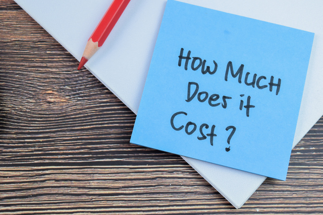 How much does bed bug treatment cost cape town