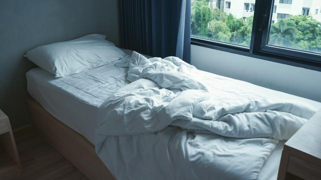 How to Prepare for Bed Bug Treatment
